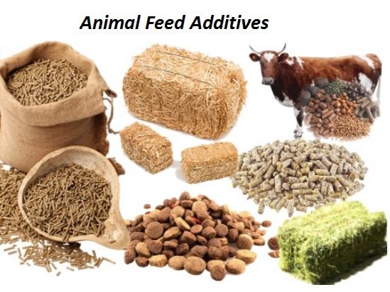 Feed Additives